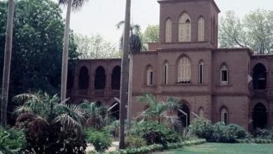 IMG 20221220 213809 808