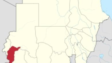 IMG 20221220 214559 352