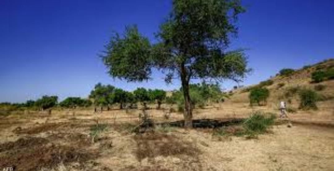 IMG 20221225 185823 508