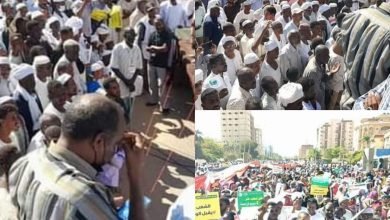 InShot ٢٠٢٢١٢٠٣ ١٦٠٣٤١٧٧٤