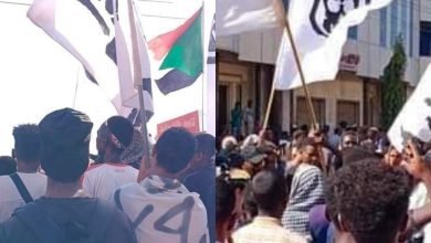 InShot ٢٠٢٢١٢٠٨ ١٥٣٤٠٥٨٠٦