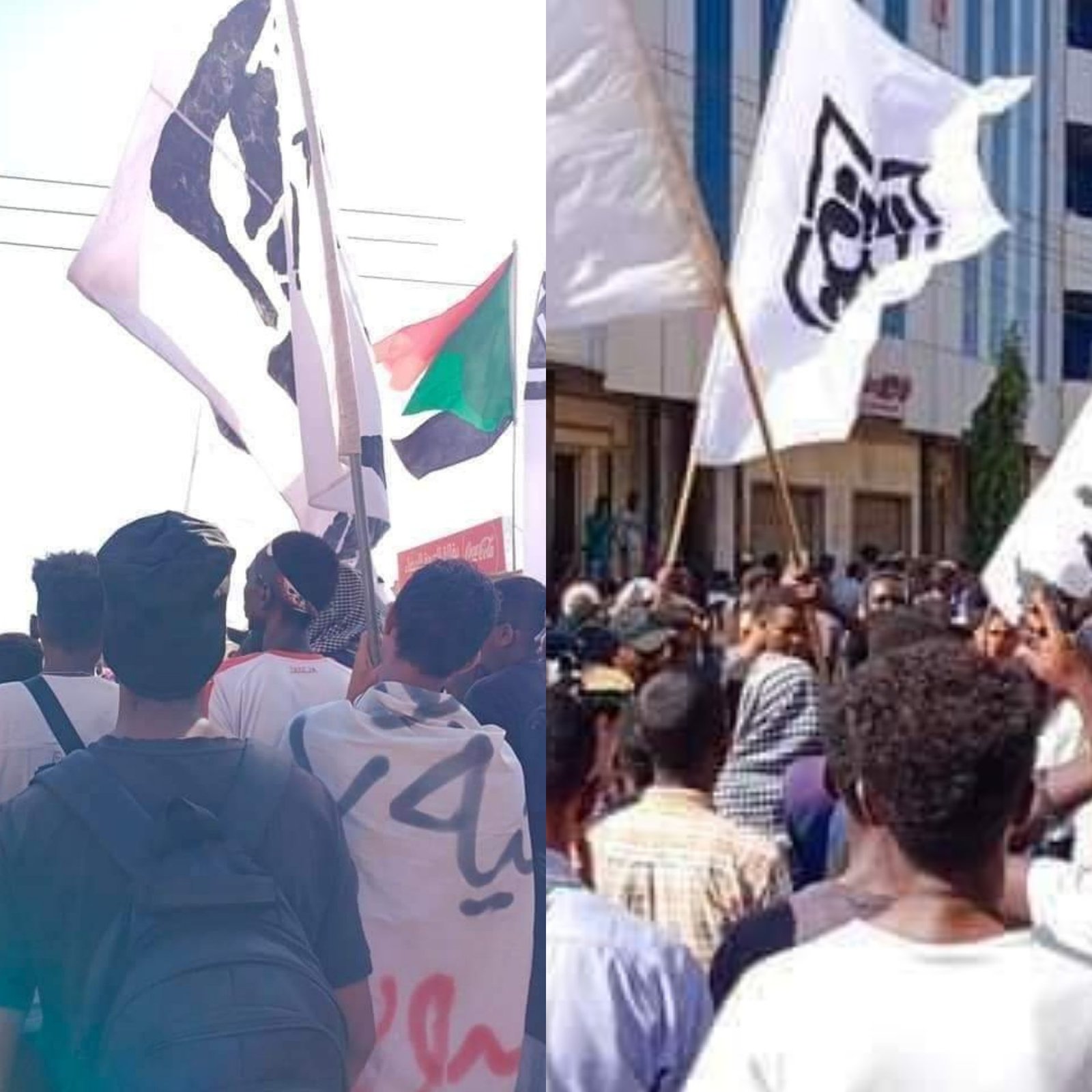 InShot ٢٠٢٢١٢٠٨ ١٥٣٤٠٥٨٠٦