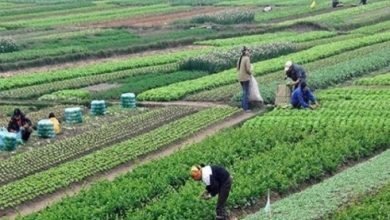 Screenshot ٢٠٢٢١٢٠٣ ١٥٣٥٣٨ Chrome