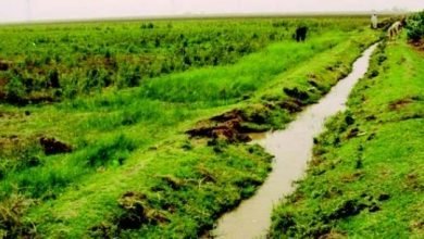 Screenshot ٢٠٢٢١٢٠٣ ١٥٤٩٢٥ Chrome