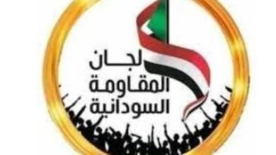 Screenshot ٢٠٢٢١٢٠٣ ١٥٥٣٥٠ Google