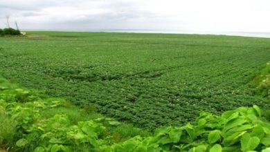 Screenshot ٢٠٢٢١٢٠٥ ١٠٢٢٢٤ Google