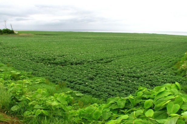 Screenshot ٢٠٢٢١٢٠٥ ١٠٢٢٢٤ Google