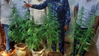 Screenshot ٢٠٢٢١٢٠٧ ١٢١٤٤٠ Google