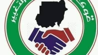 Screenshot ٢٠٢٢١٢٠٨ ١١٠٦٤٨ Google