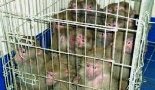 Screenshot ٢٠٢٢١٢١٠ ١٠٥٧٥٤ Google