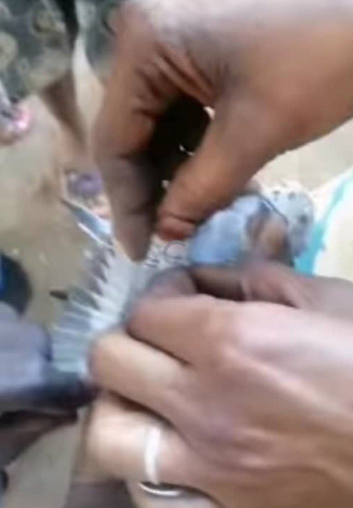 Screenshot ٢٠٢٢١٢١١ ١١٢١٢٣ WhatsApp 1