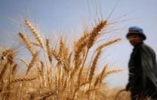 Screenshot ٢٠٢٢١٢١٨ ١٣٥٢٣٧ Google