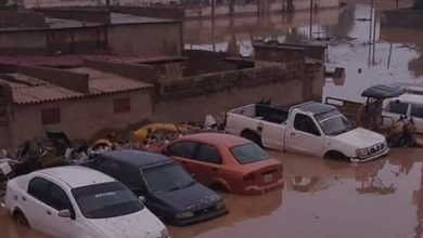 Screenshot ٢٠٢٢١٢٢٤ ٢١٢٦٢٥ Google