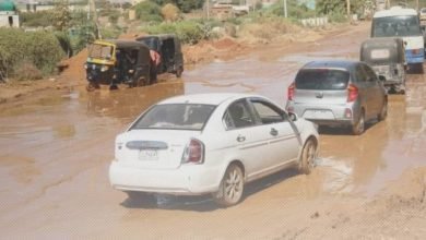 ٢٠٢٢١٢١١ ٢٠٣١٣٦