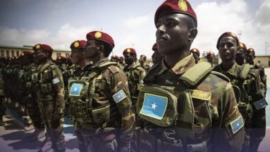 ٢٠٢٢١٢١٥ ١٩٣٣٣٠