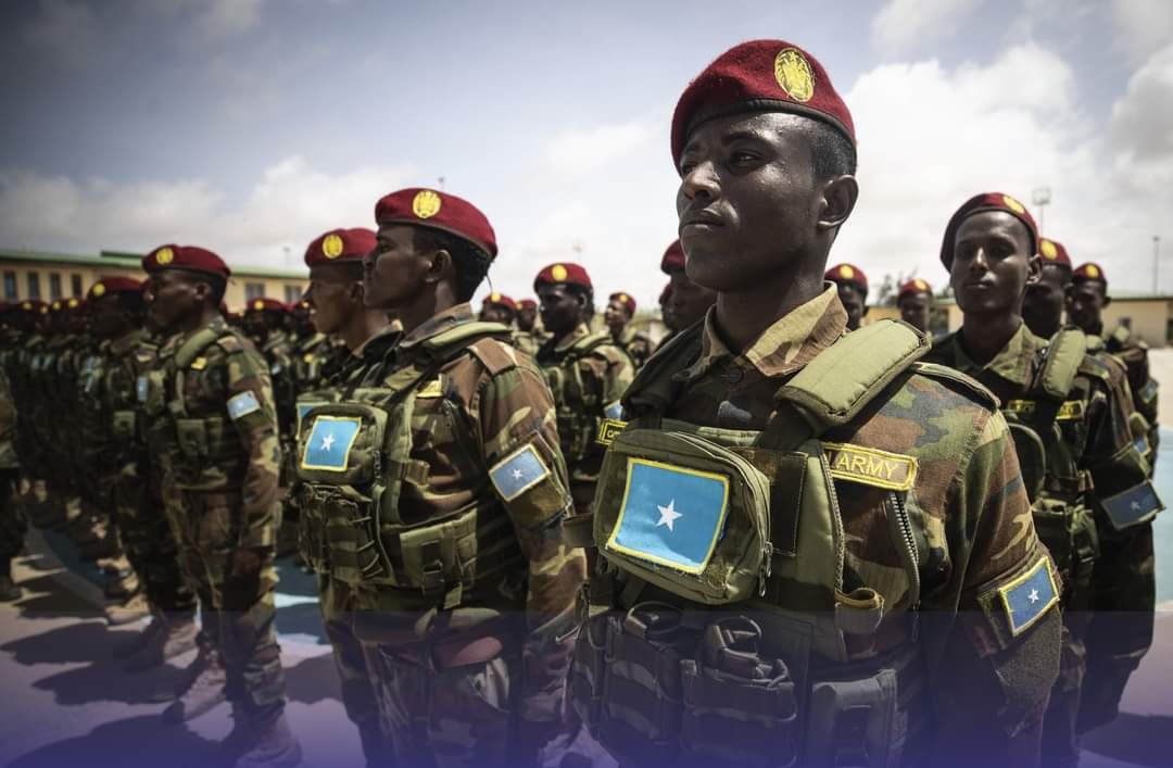 ٢٠٢٢١٢١٥ ١٩٣٣٣٠