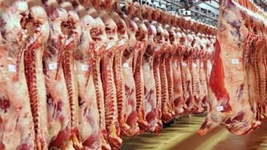 وزير الثروة الحيوانية يتخذ خطوة مهمة لتعظيم القيمة المضافة للذبيح