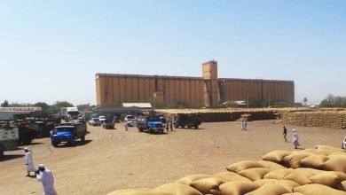 FB IMG 1673374988658