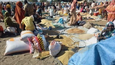 FB IMG 1673988283162