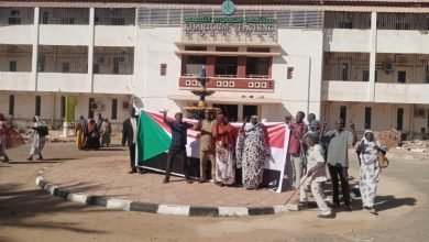 مجلس الوزراء يجيز الهيكل الوظيفي لمستشفي الخرطوم 16 IMG 20230101 WA0002