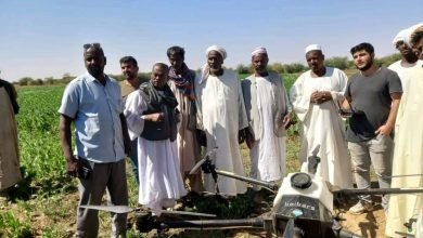 بدء تطبيق تجربة رش المبيدات بالطائرة الدرون بالجزيرة 15 IMG 20230121 WA0003