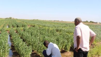 IMG 20230124 WA0007 1