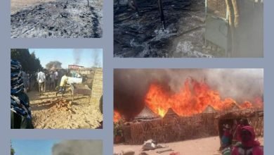 IMG 20230105 193646 703