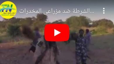 IMG 20230131 175813 1