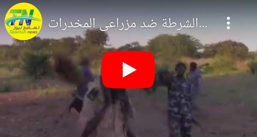 IMG 20230131 175813 1