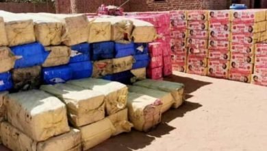 Screenshot ٢٠٢٣٠١٠٢ ١٢٢٣٠٣ WhatsApp