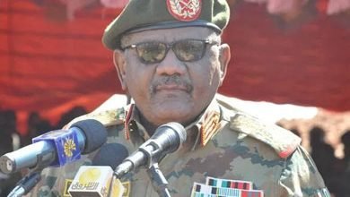 mohamedothmanelhussien