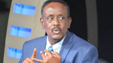 الخبير القانوني