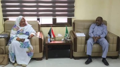 والي القضارف يوجّه بشأن العنف ضد المرأة والطفل في الفشقة 16 القضارف