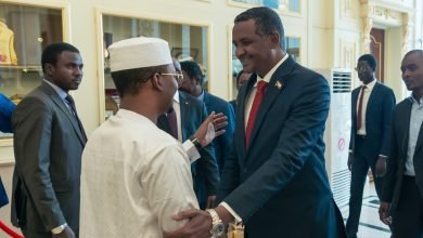 مؤامرة خبيثة تنسج بين ديبي والإمارات ضد السودان 15 حميدتي ديبي