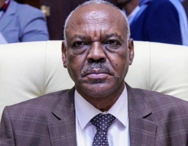 وزير المعادن 606x470 1