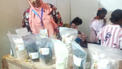 ٢٠٢٣٠١٢٧ ١٩٣٢٣٠