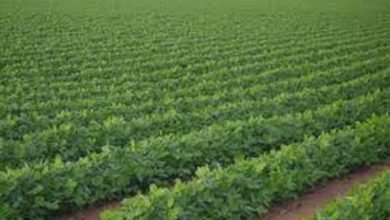 176627 BBm0gQ2Wo5hCmO8L1ztv9QADiyHiPwoi