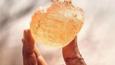 FB IMG 1675280954301