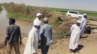 IMG 20230204 WA0025 1