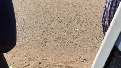 مصرع عنصر 9 طويلة برصاص نظامي بالخرطوم 16 IMG 20230206 WA0010