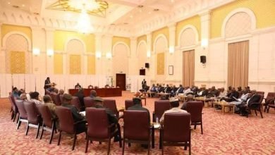 آخر خبر... إطلاق حملات أمنية مكثفة لجمع السلاح 17 IMG 20230215 WA0035