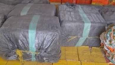 IMG 20230216 WA0031 1