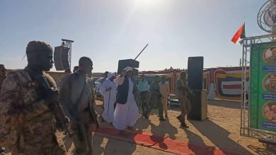 IMG 20230203 230815 944