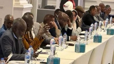 القاهرة.. هل تسرق الأضواء من الخرطوم؟ 16 IMG 20230205 000529 943