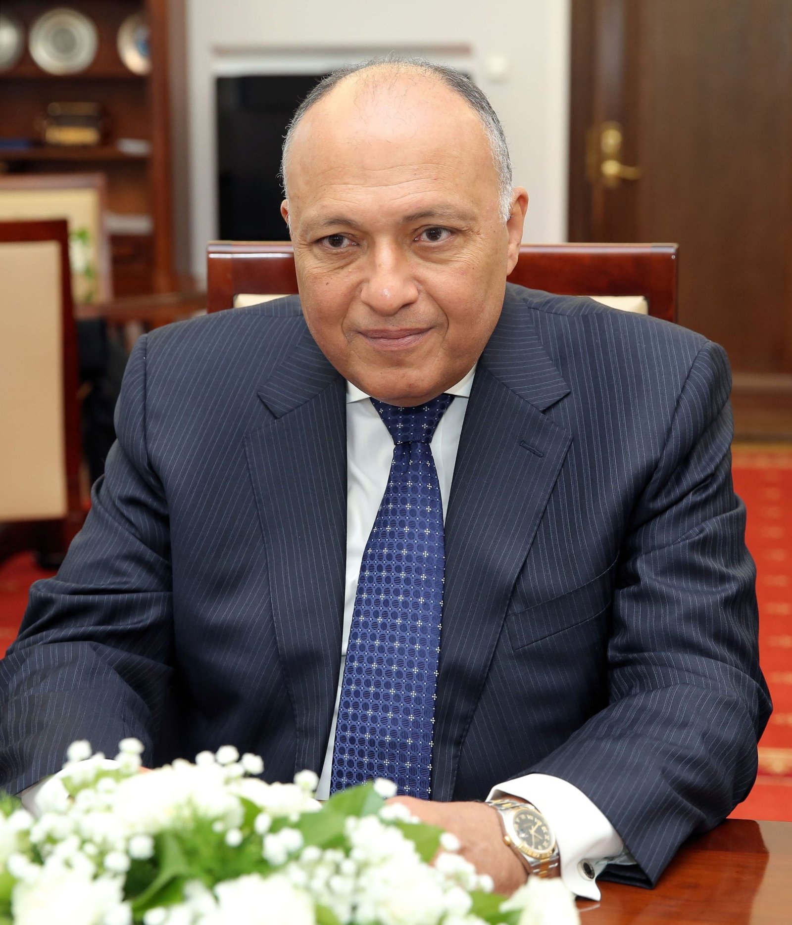 Sameh Shoukry scaled