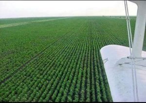 والي الجزيرة يقف على معسكرات التدريب