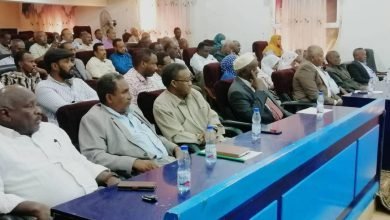 شركة المانيا