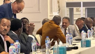 ورشة القاهرة 2