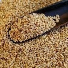 175785 DcVKLPNwgZSSDvKW4H1EDSiJhhrpI1oo