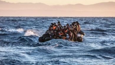 84406Image1 775x445 d